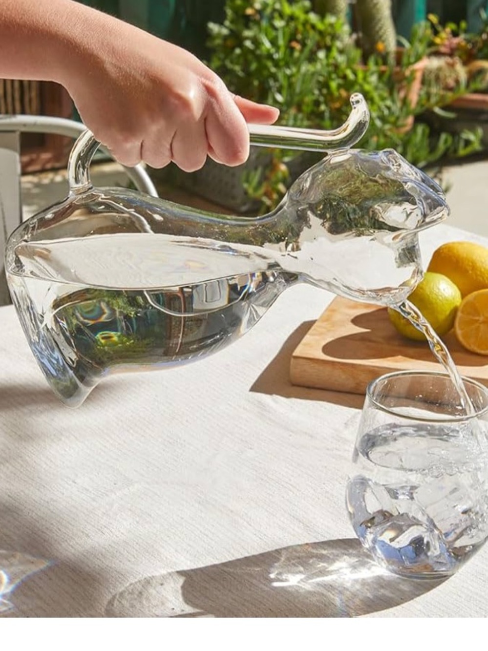 ๐ธBalvi Gifts S.L. Meow Water Jug Clear Glass CAT new in box ๐ฆ๐ง - Picture 5 of 16